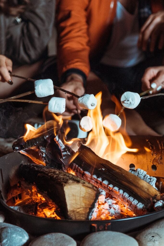 Outdoor fire pit people roasting marshmallows.